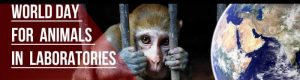 Παγκόσμια Ημέρα Κατάργησης Πειραμάτων σε Ζώα